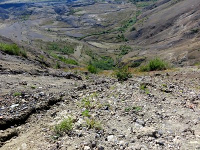 Mt. St. Helens NM in Washington