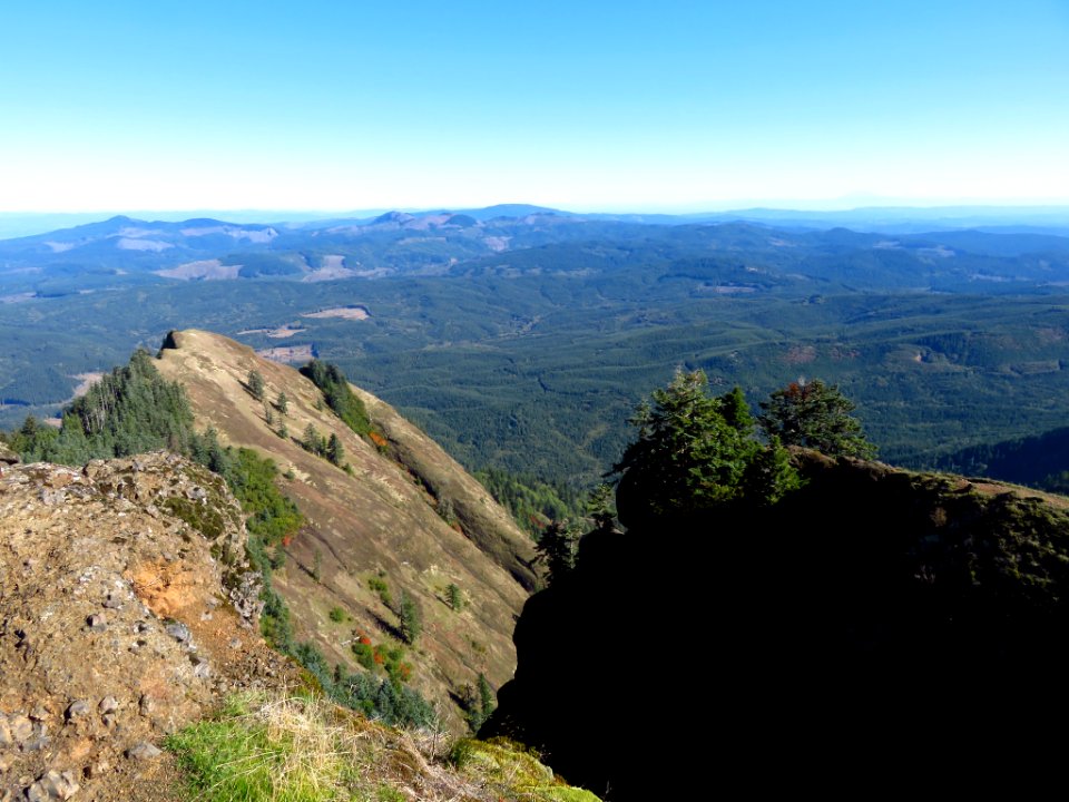 Saddle Mountain Trail in OR