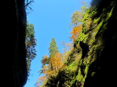 Oneonta Gorge at Columbia River Gorge in OR