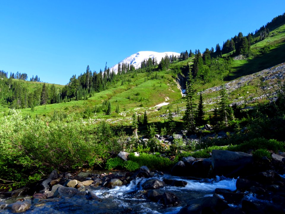 Skyline Trail at Mt. Rainier NP in WA