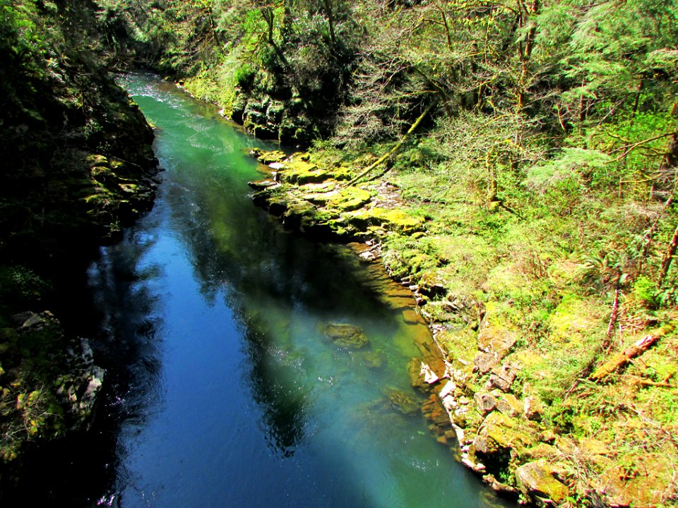 Moulton Falls Park at Lewis River in Washington