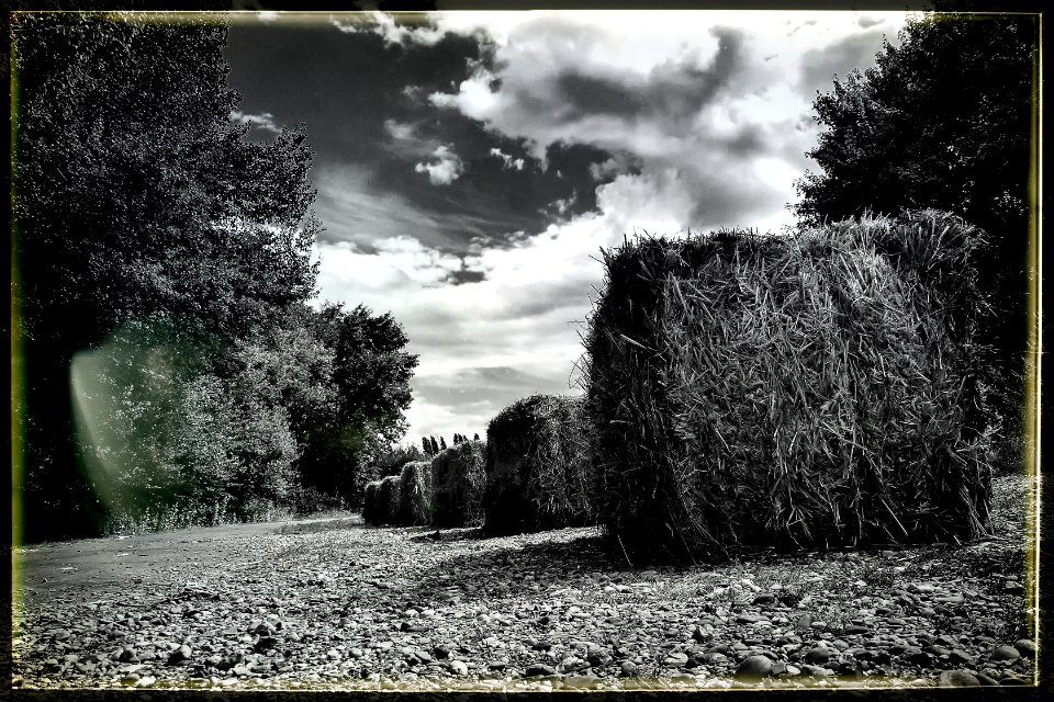 Race Track