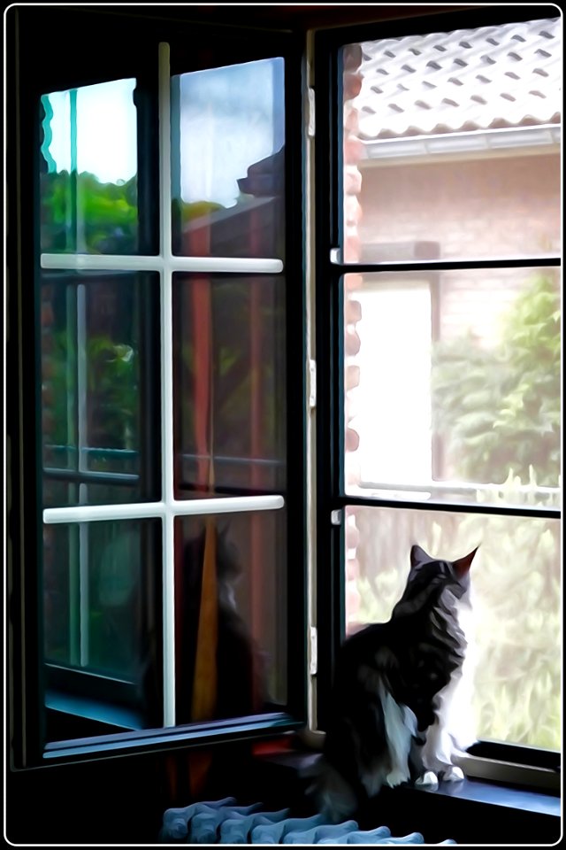 Reflected Cat