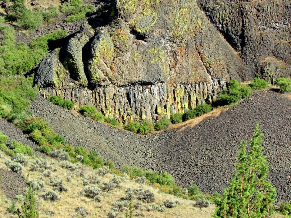 Landscape in Central OR