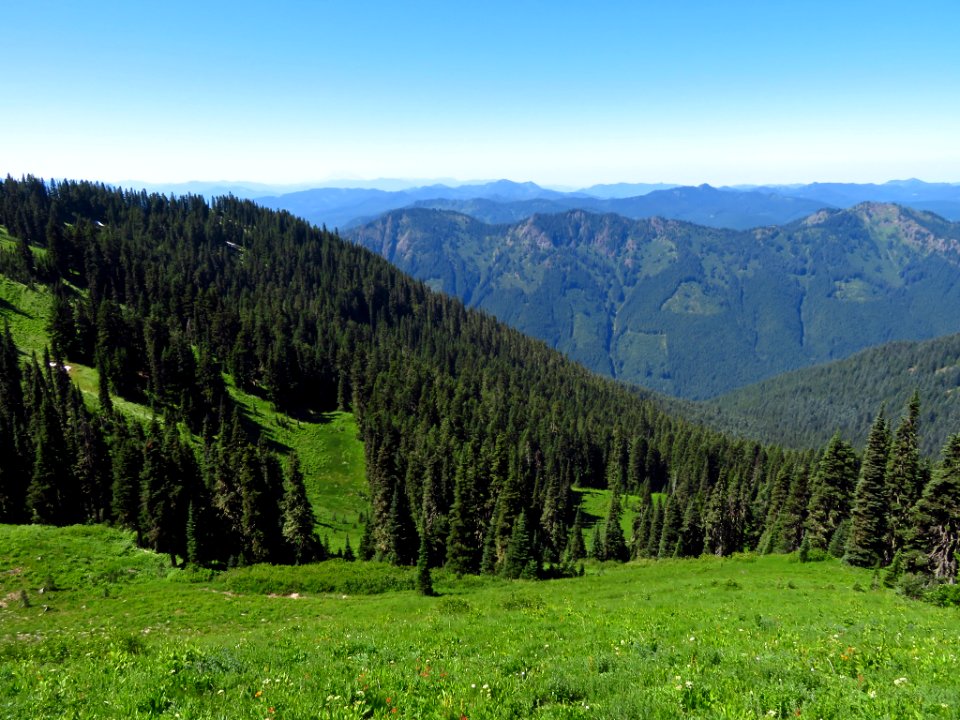 Tatoosh Peak Trail in WA