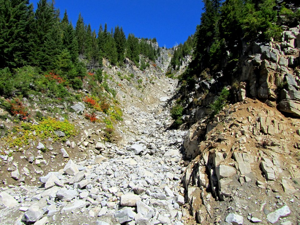 Mt. Rainier NP in WA