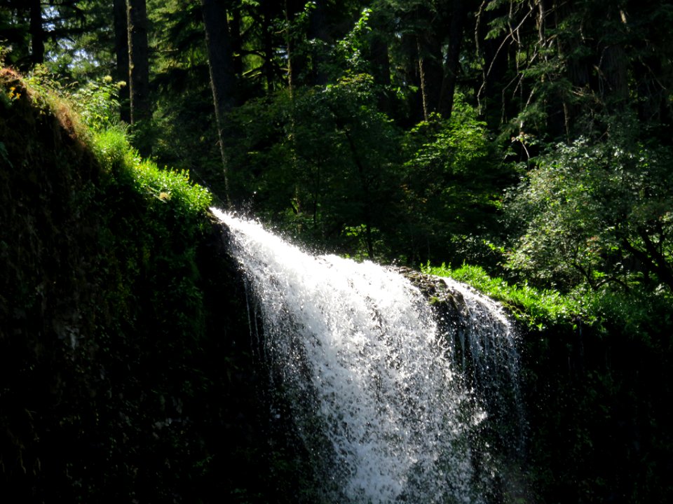 Silver Falls SP in OR