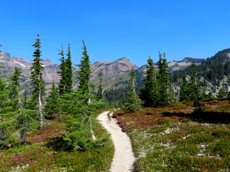 Goat Rocks Wilderness in WA