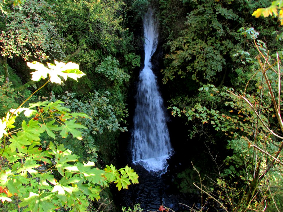 Waterfall at Columbia River Gorge in OR