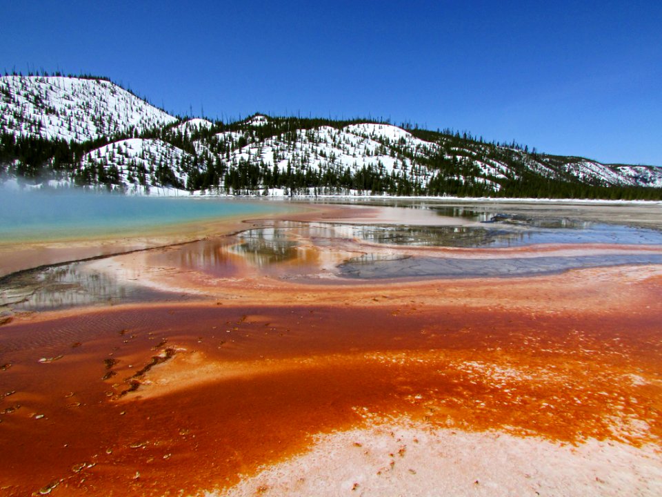 Yellowstone NP in WY