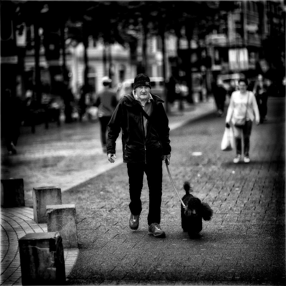 Man with Poodle