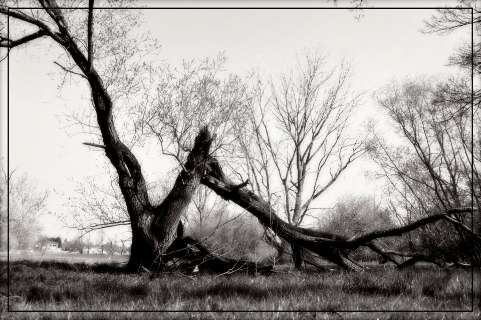 Story of a Hurricane