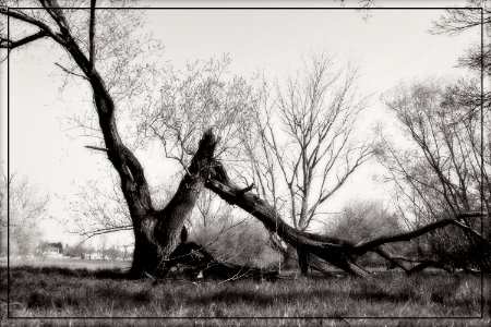 Story of a Hurricane