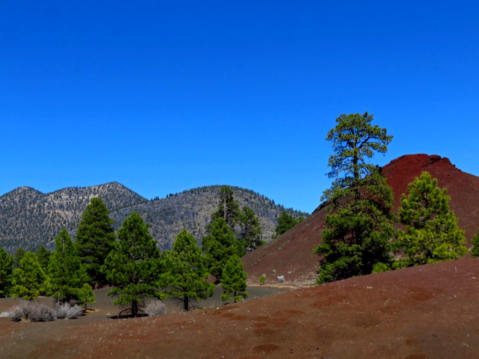 Sunset Crater Volcano NM in AZ