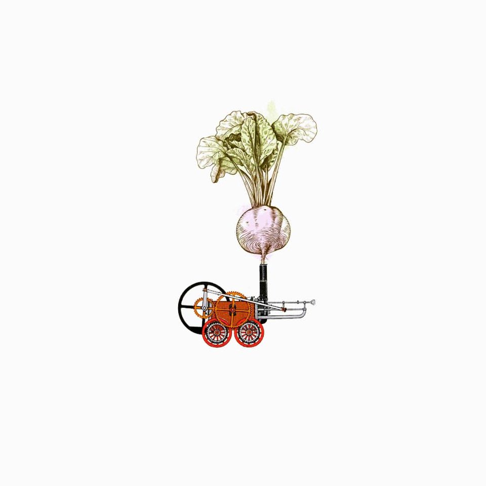 Agriculturas de larga distancia. #losdiascontados #collage #c expo #contemporarycollage #collagecollectiveco #fabacollagemag #yeswecut #ginexín #consumo #consumoconsciente #proximidad   #cercanía #sostenibilidad