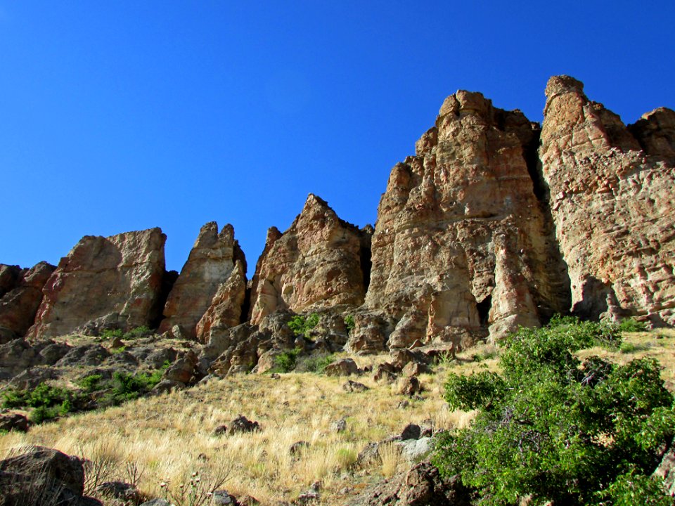 Clarno Unit at John Day Fossil Beds NM in OR