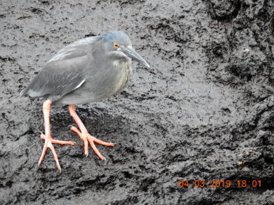DSCN3158