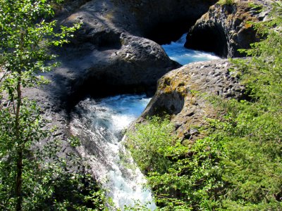 Lava Canyon Trail in Washington photo