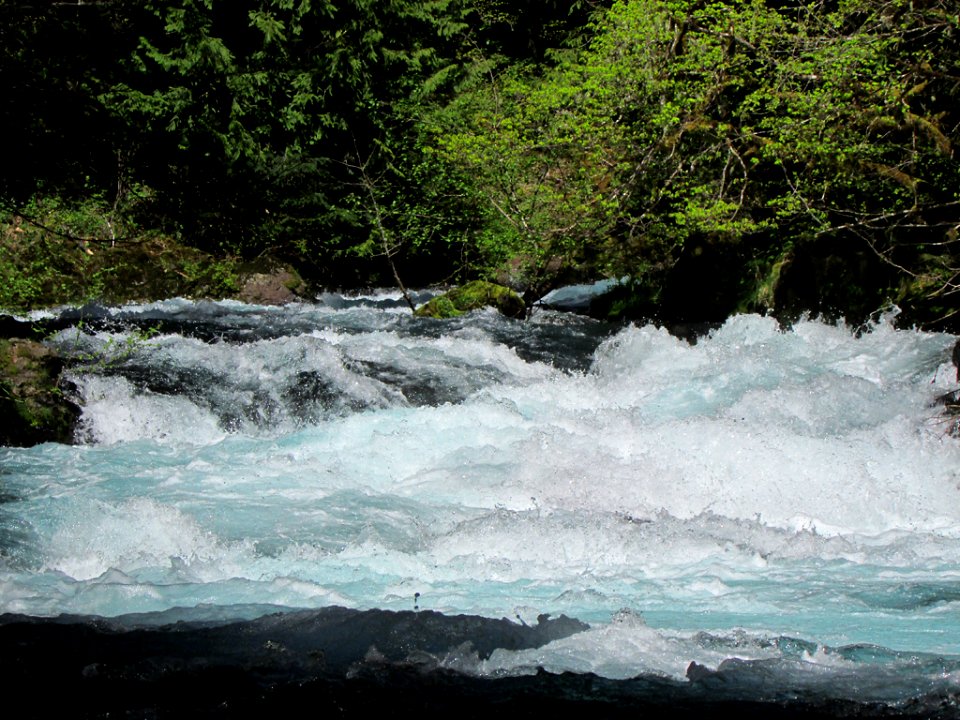 Spirit Falls Trail on Little White Salmon River in WA