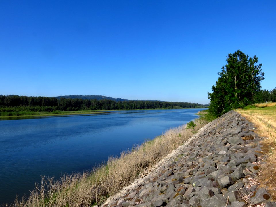 Columbia River at Steigerwald Lake NWR in WA
