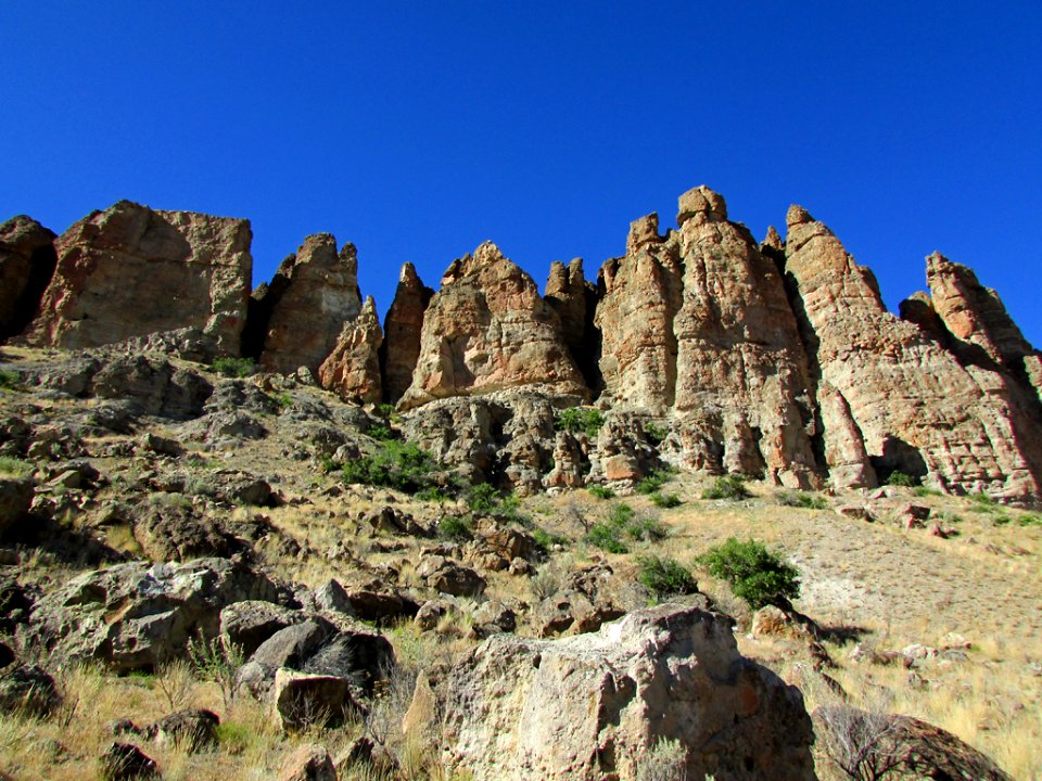 Clarno Unit at John Day Fossil Beds NM in OR