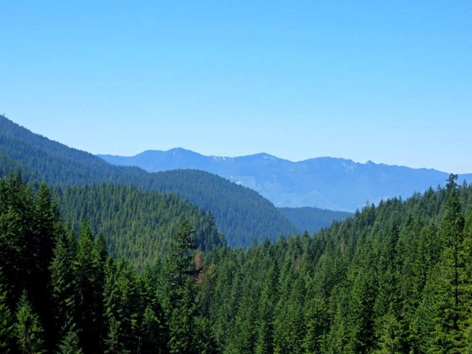 Mt. Baker-Snoqualmie NF in Washington