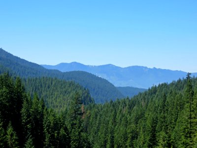 Mt. Baker-Snoqualmie NF in Washington photo