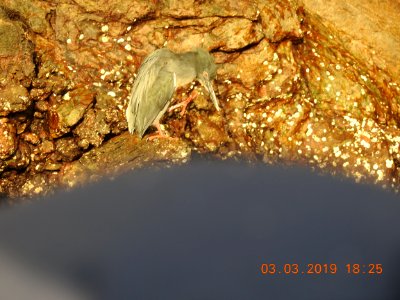 DSCN2869