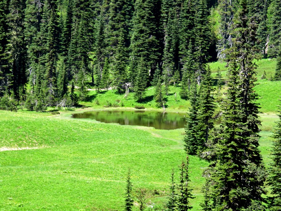 Mt. Rainier NP in WA