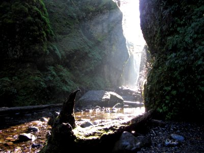 Oneonta Gorge at Columbia River Gorge in OR