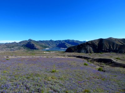 Loowit Falls Trail at Mt. St. Helens NM in WA photo