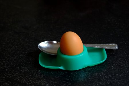 Delicious eat breakfast egg photo