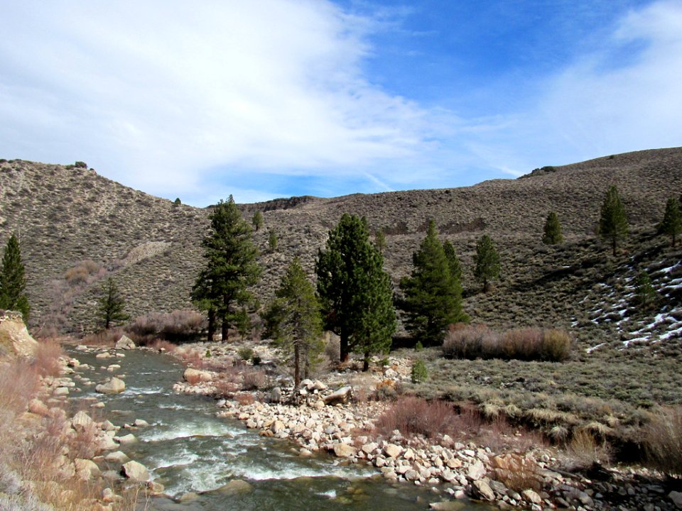 West Walker River in California