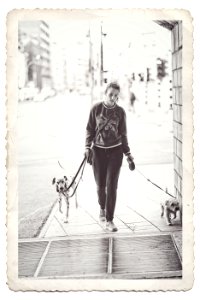 Letting the Dogs Out
