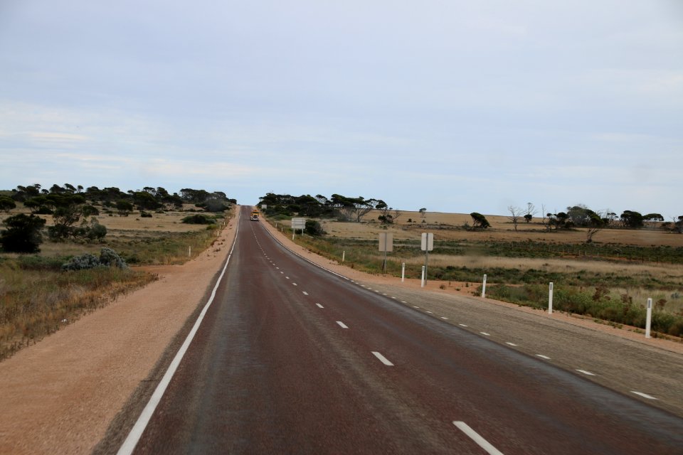 IMG 0671