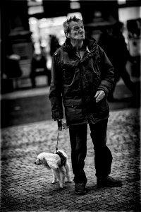 Old Man and his Dog photo