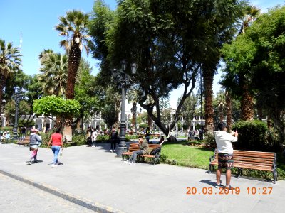 DSCN3913