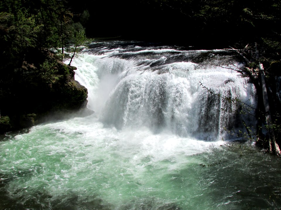Lower Lewis River Falls Trail in WA