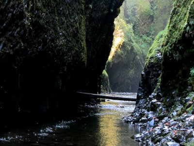 Oneonta Gorge at Columbia River Gorge in OR