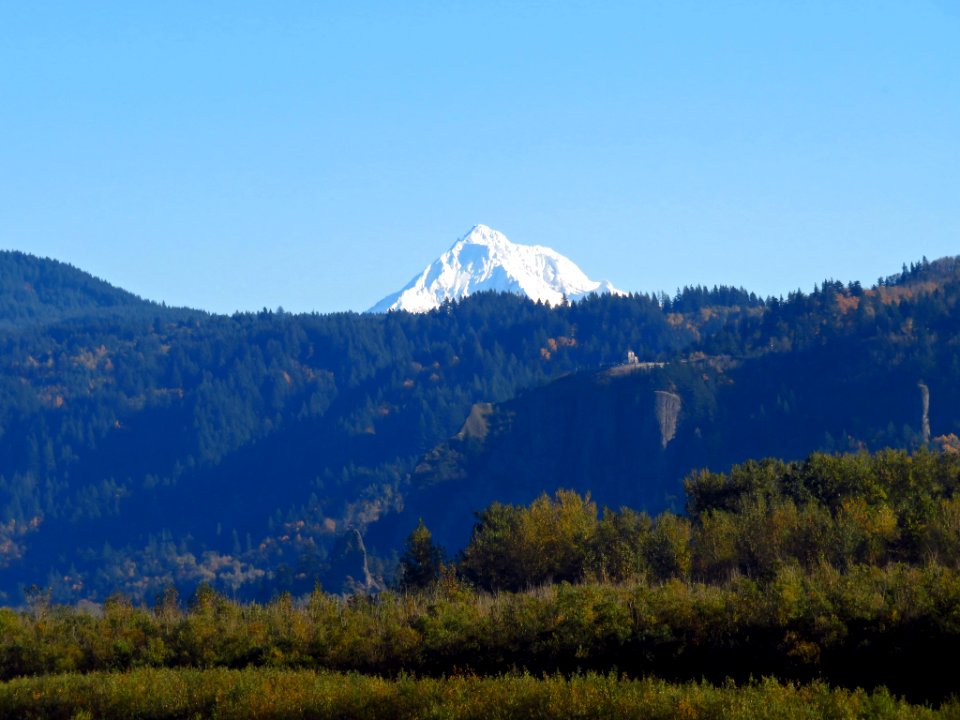 Mt. Hood at Steigerwald Lake NWR in WA