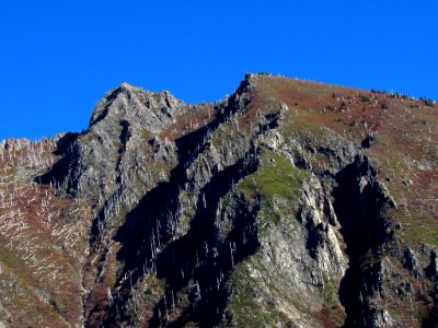 Coldwater Lake Loop Trail in WA
