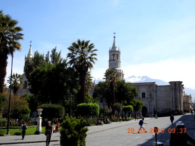 DSCN3878