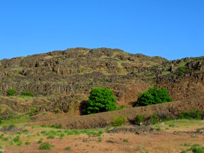 Crawford Oaks Trail at Columbia Hills SP in WA