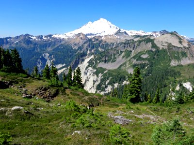 Mt. Baker-Snoqualmie NF in Washington photo