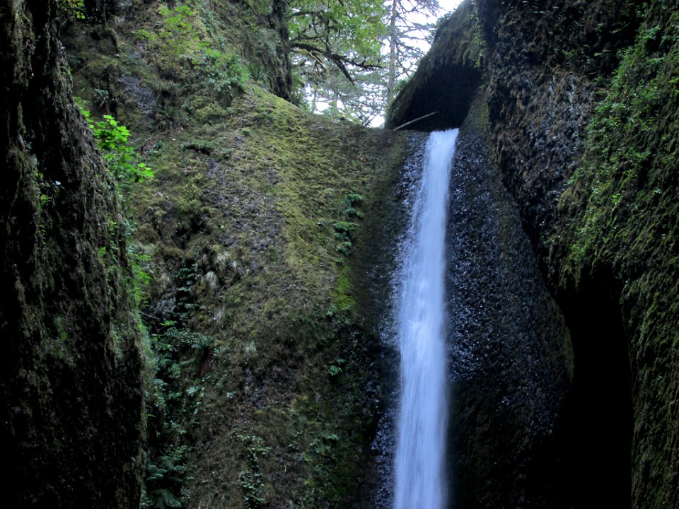 Oneonta Gorge at Columbia River Gorge in OR