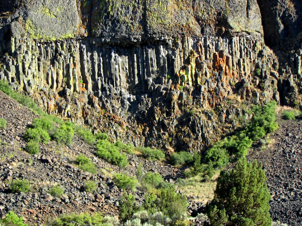 Landscape in Central OR