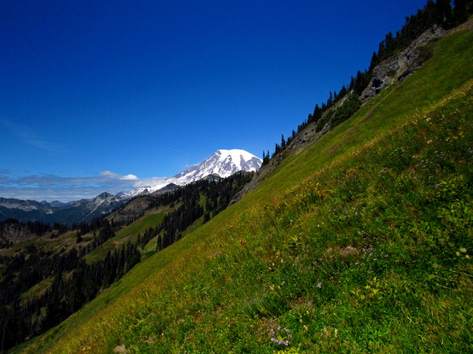 Mt. Rainier at Tatoosh Wilderness in WA