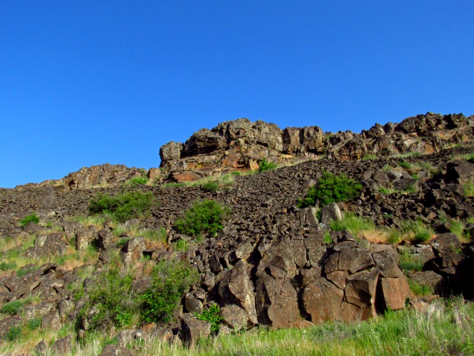 Crawford Oaks Trail at Columbia Hills SP in WA