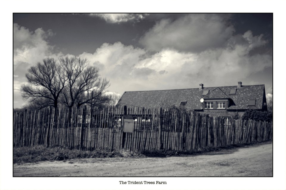 Fence