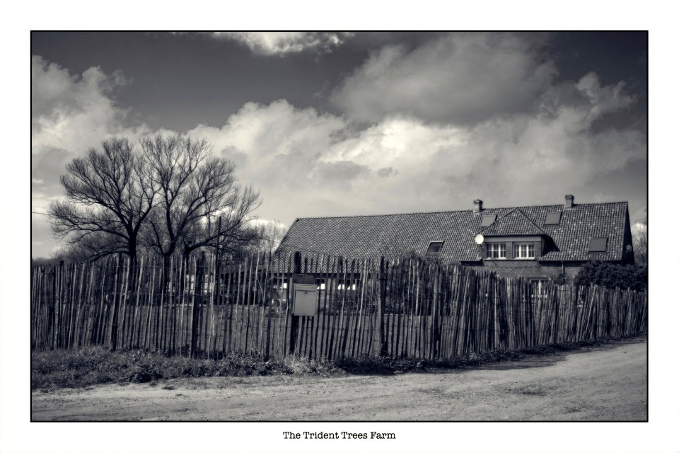 Fence photo